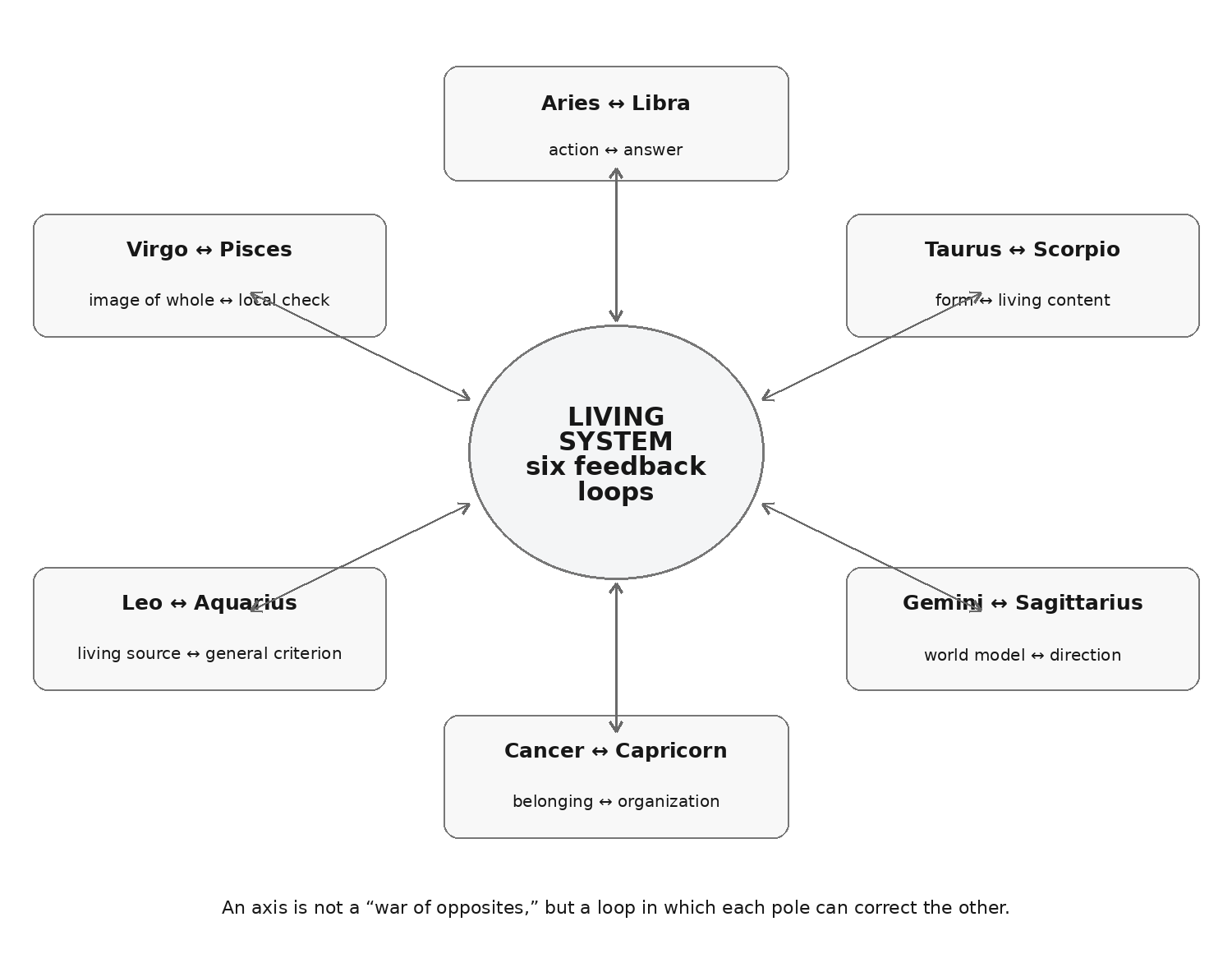 The six axes as six loops required by a complex living system.